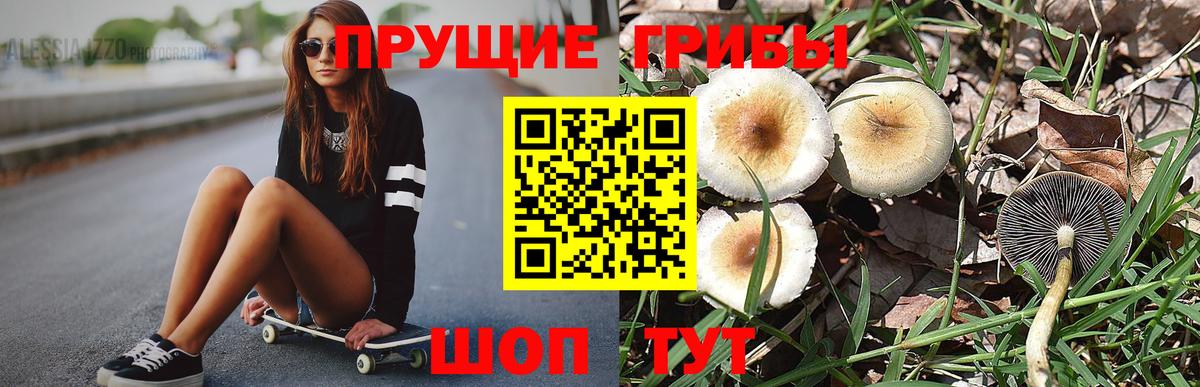 Борзя  Псилоцибиновые грибы Magic Shrooms  Вход с VPN 
